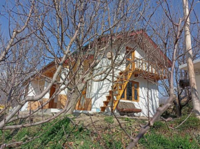 @arnav's larankelo orchard retreat